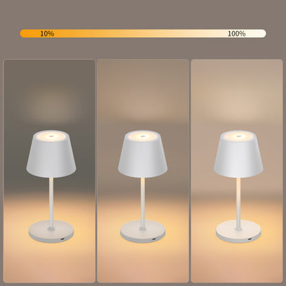 Miniature LED lamp with portable design perfect for travel, camping, and everyday use