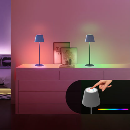 Flexible color-changing LED lamp with portable design for customizable home and personal lighting