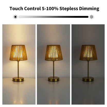 Elegant portable table lamp with dual shades for adaptive and contemporary home or office lighting