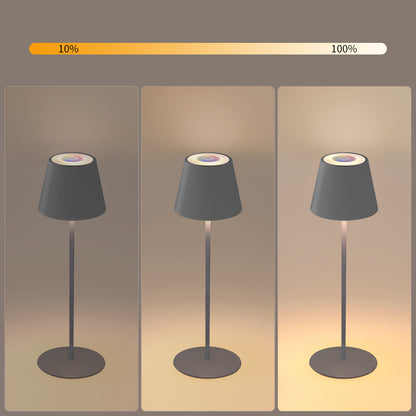 Compact portable LED lamp with multiple color modes for creative and adaptive illumination